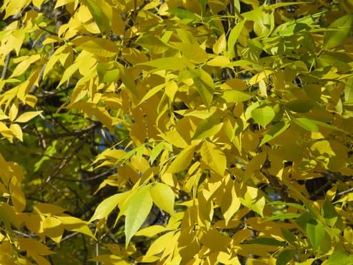 Sunset photography in Longmont