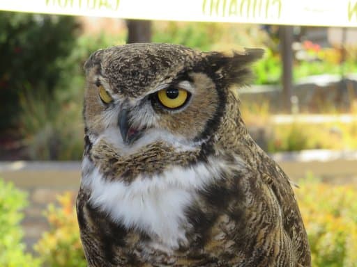 Sunset photography in Longmont